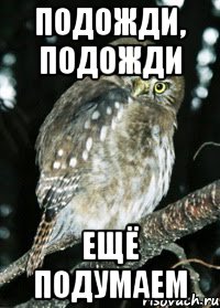 Подожди, подожди Ещё подумаем