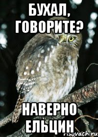 бухал, говорите? Наверно Ельцин