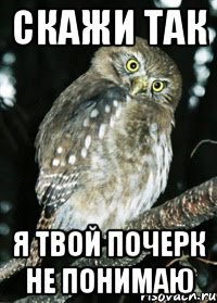 Скажи так я твой почерк не понимаю