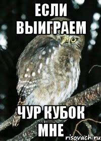 Если выиграем чур кубок мне