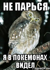 Не парься я в покемонах видел