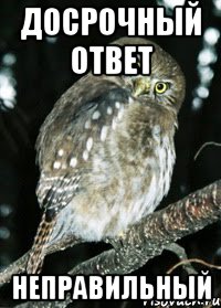 досрочный ответ неправильный