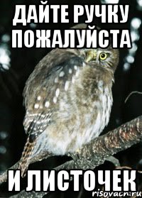 дайте ручку пожалуйста и листочек
