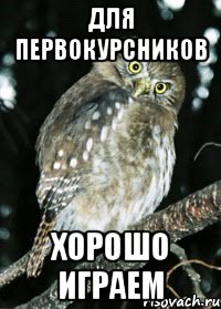 для первокурсников хорошо играем