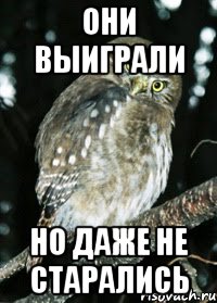 Они выиграли но даже не старались