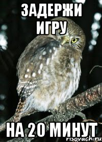 задержи игру на 20 минут