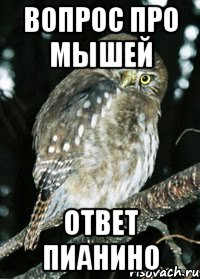 вопрос про мышей ответ пианино