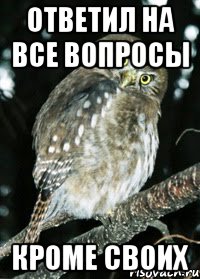 ответил на все вопросы кроме своих