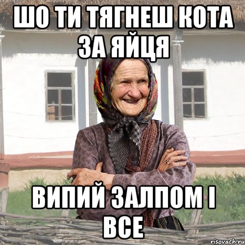 шо ти тягнеш кота за яйця випий залпом і все