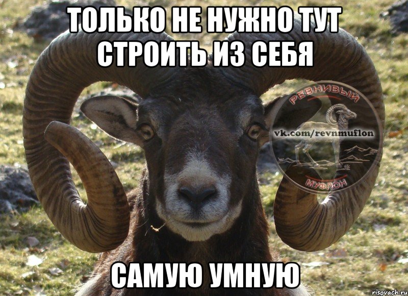 только не нужно тут строить из себя самую умную