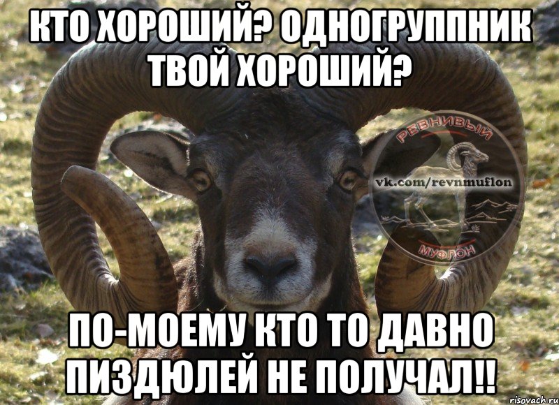 кто хороший? одногруппник твой хороший? по-моему кто то давно пиздюлей не получал!!