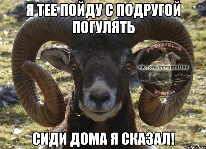 я тее пойду с подругой погулять сиди дома я сказал!