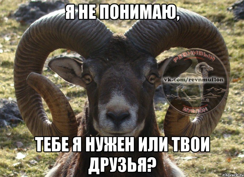 я не понимаю, тебе я нужен или твои друзья?