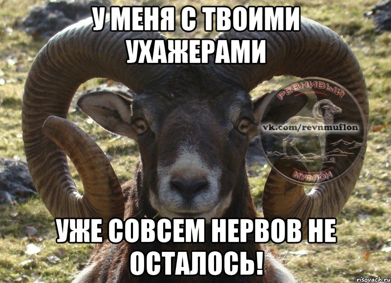 у меня с твоими ухажерами уже совсем нервов не осталось!