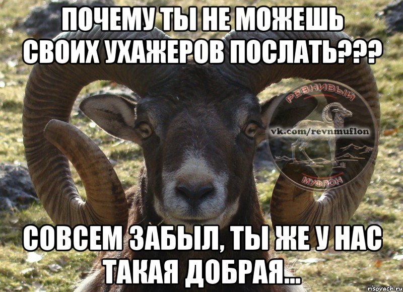 почему ты не можешь своих ухажеров послать??? совсем забыл, ты же у нас такая добрая...