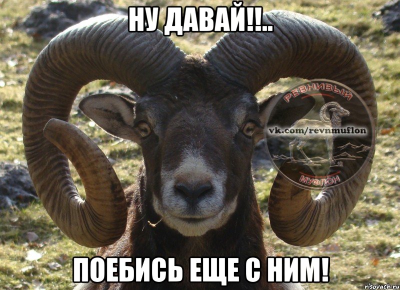 ну давай!!.. ПОЕБИСЬ ЕЩЕ С НИМ!