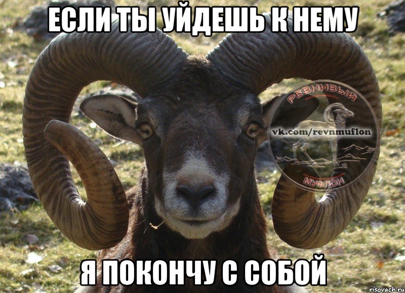 если ты уйдешь к нему я покончу с собой