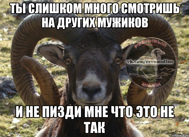 ты слишком много смотришь на других мужиков и не пизди мне что это не так