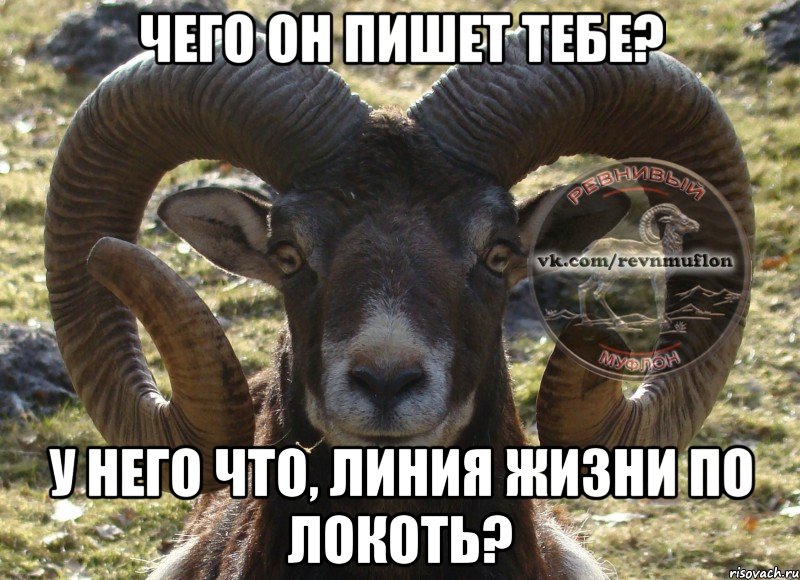 чего он пишет тебе? у него что, линия жизни по локоть?