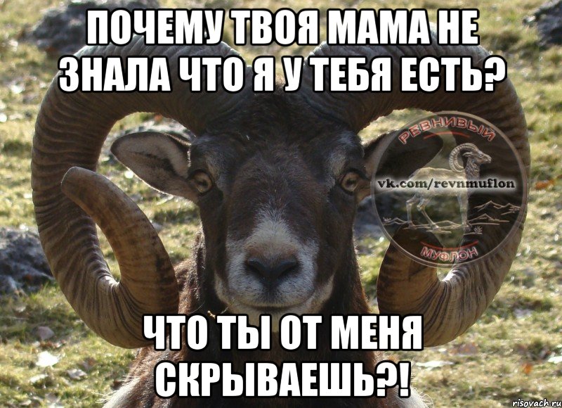 почему твоя мама не знала что я у тебя есть? что ты от меня скрываешь?!