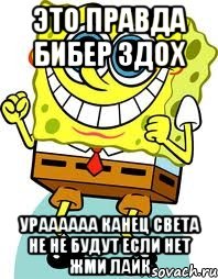 Это правда бибер здох Ураааааа канец света не не будут если нет жми лайк, Мем спанч боб