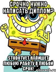 СРОЧНО нужно написать диплом? studotvet напишет любую работу в любой срок!, Мем спанч боб