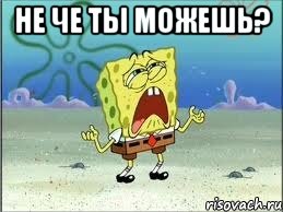 Не че ты можешь? , Мем Спанч Боб плачет