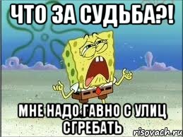 что за судьба?! мне надо гавно с улиц сгребать, Мем Спанч Боб плачет