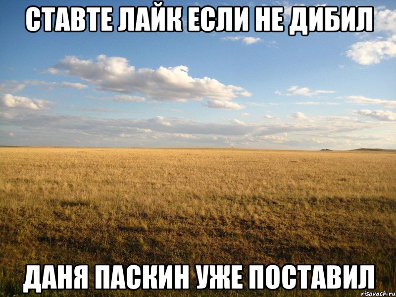 ставте лайк если не дибил даня паскин уже поставил, Мем ставь лайк