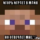 Игорь играет в майн но отвечает мне:*:*, Мем стив