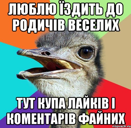 Люблю їздить до родичів веселих тут купа лайків і коментарів файних