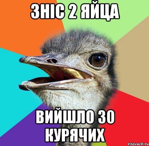 ЗНІС 2 ЯЙЦА ВИЙШЛО 30 КУРЯЧИХ