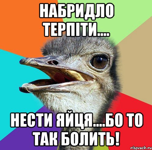 Набридло терпіти.... Нести яйця....бо то так БОЛИТЬ!