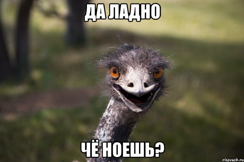 Да ладно Чё ноешь?