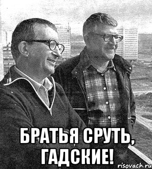  Братья сруть, гадские!