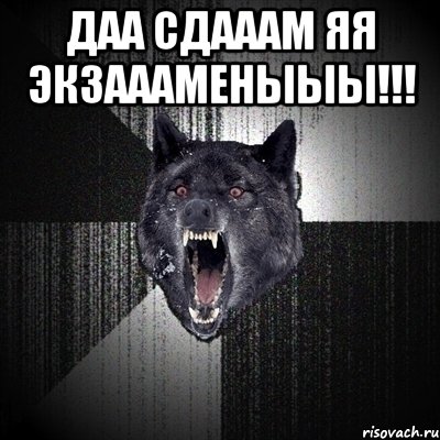 ДАА СДАААМ ЯЯ ЭКЗАААМЕНЫЫЫ!!! , Мем Сумасшедший волк