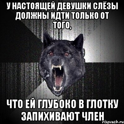 у настоящей девушки слёзы должны идти только от того, что ей глубоко в глотку запихивают член, Мем Сумасшедший волк