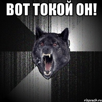 вот токой он! , Мем Сумасшедший волк