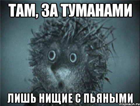 там, за туманами лишь нищие с пьяными