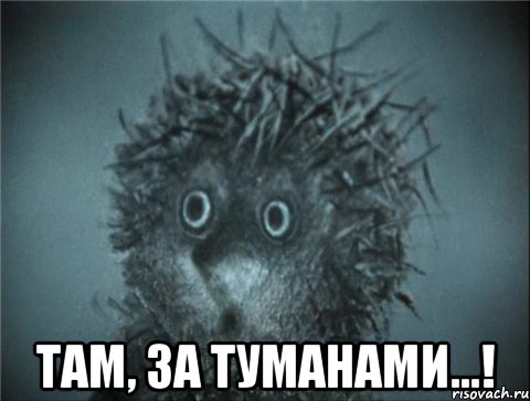  там, за туманами...!