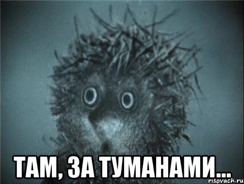  там, за туманами...