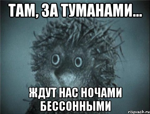 там, за туманами... ждут нас ночами бессонными