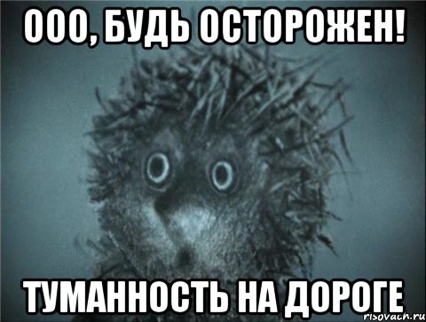 ооо, будь осторожен! туманность на дороге, Мем Ежик в тумане