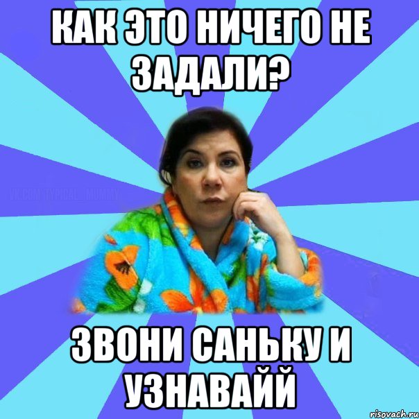 Как это ничего не задали? звони Саньку и узнавайй, Мем типичная мама