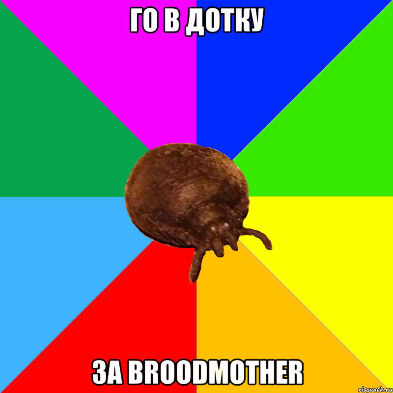ГО в Дотку За Broodmother