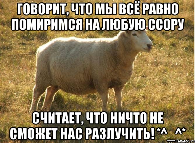 Говорит, что мы всё равно помиримся на любую ссору Считает, что ничто не сможет нас разлучить! *^_^*, Мем Типичная овца