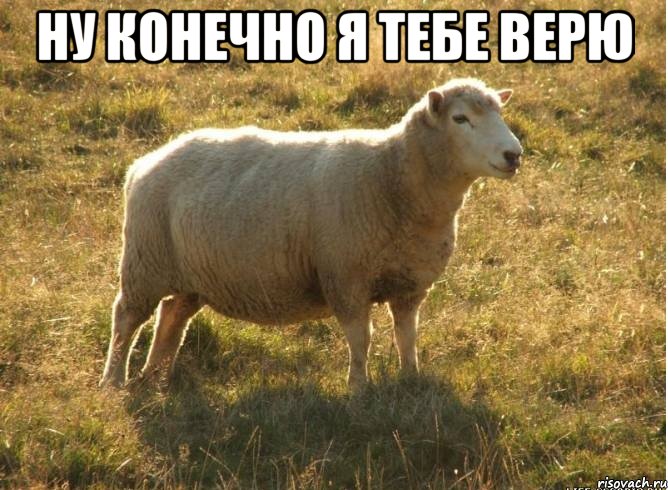 ну конечно я тебе верю , Мем Типичная овца