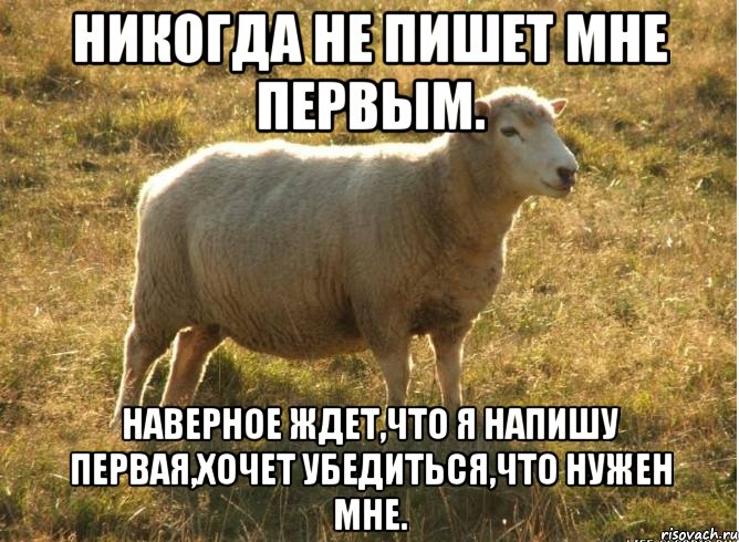 Никогда не пишет мне первым. Наверное ждет,что я напишу первая,хочет убедиться,что нужен мне., Мем Типичная овца