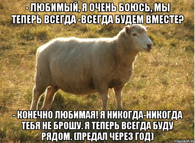 - Любимый, я очень боюсь, мы теперь всегда -всегда будем вместе? - Конечно Любимая! Я никогда-никогда тебя не брошу. Я теперь всегда буду рядом. (предал через год), Мем Типичная овца