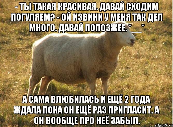 - Ты такая красивая. Давай сходим погуляем? - Ой извини у меня так дел много. Давай попозжее. *__* А сама влюбилась и ещё 2 года ждала пока он ещё раз пригласит. А он вообще про неё забыл., Мем Типичная овца